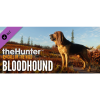 Expansive Worlds theHunter: Call of the Wild - Bloodhound (PC - Steam elektronikus játék licensz)