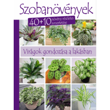 Ezermester 2000 Kft Szobanövények hobbi, szabadidő