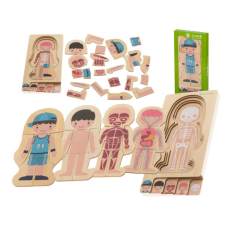 Fa oktató puzzle - a test felépítése (fiú) puzzle, kirakós