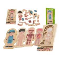 Fa puzzle montessori testrészek, fiú kreatív és készségfejlesztő