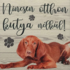  Fa tábla - Vizsla