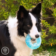  Fagyasztható rágójáték házi kedvenceknek 2 az 1-ben Glubiz InnovaGoods játék kutyáknak
