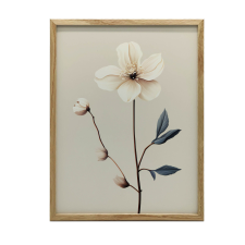FAKERETES FALI PLAKÁT FEHÉR kökörcsin 50x70 CM MINIMALIZMUS grafika, keretezett kép