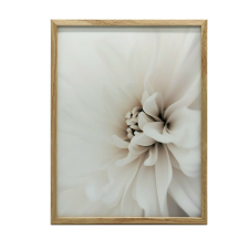FAKERETES FALI PLAKÁT FINOM FEHÉR DALLIA 30x40 CM grafika, keretezett kép