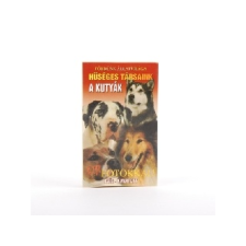 Fakopáncs : Kutyák kvíz - kvartett kártya - Társasjáték társasjáték