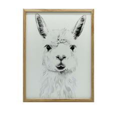 FALI PLAKÁT FEHÉR KERETBEN FINOM LAMA 30x40 CM grafika, keretezett kép