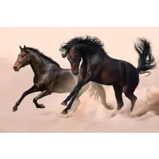  Falikép Két fekete ló, galopp, 400 x 250 cm grafika, keretezett kép