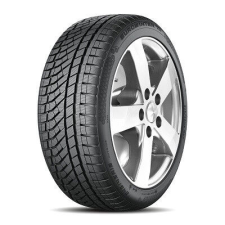 FALKEN HS02 PRO Eurowinter XL 225/55 R17 101V Téli gumi téli gumiabroncs
