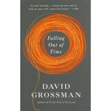  Falling Out of Time – David Grossman,Jessica Cohen idegen nyelvű könyv