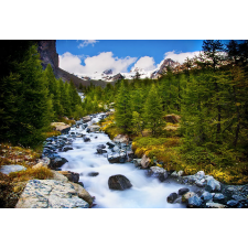  Falmatrica Folyó kövekkel, 250 x 150 cm tapéta, díszléc és más dekoráció