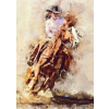  Falmatrica Western rodeo, 150 x 205 cm