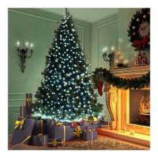Family Fényfüzér - 50 db LED - hidegfehér - hálózati - 5 m - 8 program karácsonyfa izzósor
