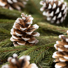 Family Karácsonyi dekoráció - toboz - 5 x 4,5 cm - 10 db / csomag karácsonyi dekoráció