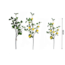  Family mű gyümölcsfaág több féle kerti tárolás