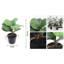  Family műnövény cserepes 25x10cm kerti tárolás