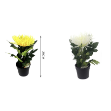  Family művirág cserepes krizantém 29cm 2f. kerti tárolás