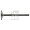 FEBI BILSTEIN Csapágy, sebességváltó FEBI BILSTEIN 21886