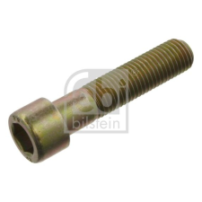 FEBI BILSTEIN Feszítő, vezérműlánc FEBI BILSTEIN 02879 kormányvezérlő és kiegészítői