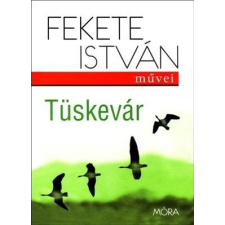 Fekete István FEKETE ISTVÁN - TÜSKEVÁR - FEKETE ISTVÁN MÛVEI (ÚJ BORÍTÓVAL) gyermek- és ifjúsági könyv