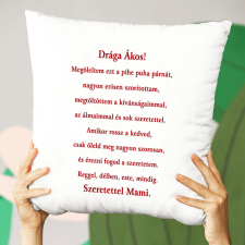  Feliratos párna - Öleld meg lakástextília