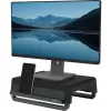 FELLOWES Breyta Monitor Stand Black 100016560