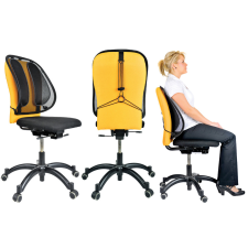 FELLOWES Office Suites Mesh háttámasz - Fekete gyógyászati segédeszköz