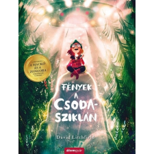  Fények a Csoda-sziklán gyermek- és ifjúsági könyv