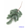  Fenyő ág 12 ágas - Hamvas