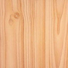  Fenyő öntapadós tapéta 45cmx15m tapéta, díszléc és más dekoráció