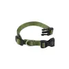  Ferplast Club C10/25 10mm nyakörv GREEN (75250876)