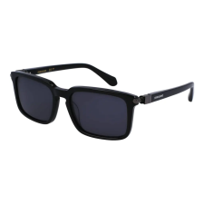 FERRAGAMO FERRAGAMO SF1110S-1 Férfi napszemüveg napszemüveg