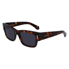 FERRAGAMO FERRAGAMO SF2011S-242 Férfi napszemüveg