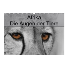  Fiance by Friday – CATHERINE BYBEE idegen nyelvű könyv