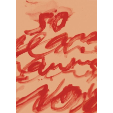  Fifty Years of Works on Paper – Cy Twombly,Julie Sylvester idegen nyelvű könyv
