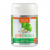 Finclub Ginkbicaps Ginkgo biloba