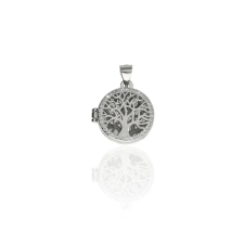 Fine Silver AG123484 - Ezüst medál medál