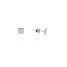 Fine Silver AG124647 - Ezüst beszúrós fülbevaló fülbevaló
