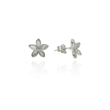 Fine Silver AG125156 - Ezüst beszúrós stekker záras fülbevaló fülbevaló
