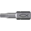 Fischer FPB T 10 PROFI Bit W 10 (557845) Bit készlet 10 részes (557845)
