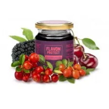 Flavon Protect 240 g gyógyhatású készítmény
