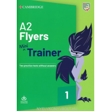 FLYERS MINI TRAINER nyelvkönyv, szótár