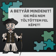  Főállású anya azaz káosz koordinátor - Kapucnis Pulóver