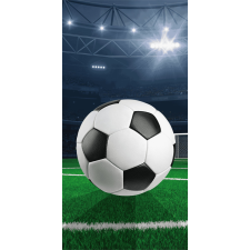 Focis Field fürdőlepedő, strand törölköző 70x140cm lakástextília