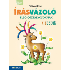 Földvári Erika - Írásvázoló 1. osztályosoknak - Kisbetűk egyéb könyv