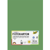 Folia Dekorkarton, A4, 300 g, 50 lap, FOLIA, mohazöld