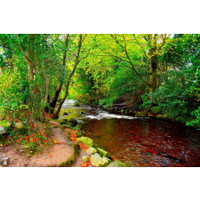  Folyó a zöld erdőből tapéta, 300 x 200 cm tapéta, díszléc és más dekoráció
