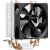 Formula Ice Boid 2PSDB