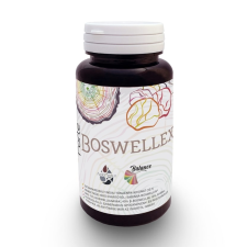  Forte Boswellex kapszula 60 db vitamin és táplálékkiegészítő