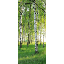  Fotótapéta ajtóra BIRCH GROVE 86x200 cm tapéta, díszléc és más dekoráció