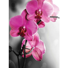 Fotótapéta Orchidea ciklámen 1 L 2 tapéta, díszléc és más dekoráció